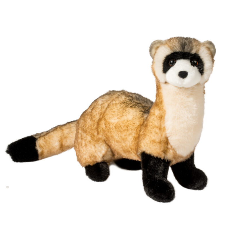 Vince Black-Footed Ferret