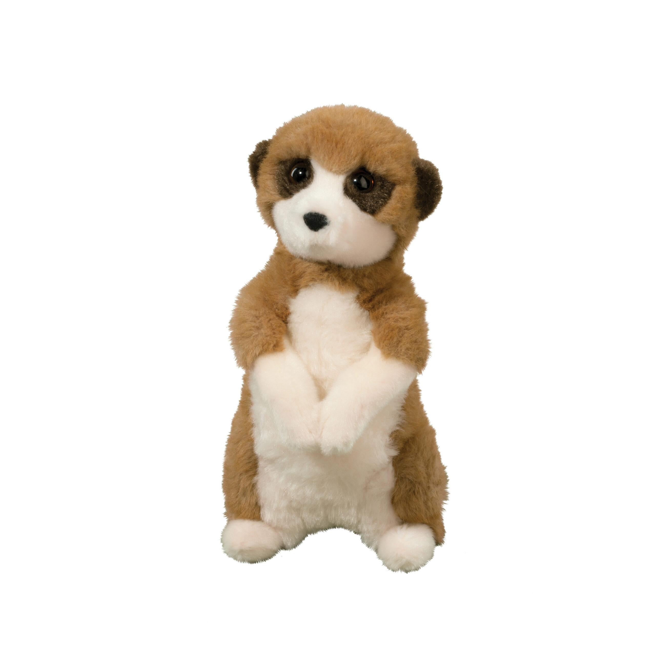 Enzo Meerkat