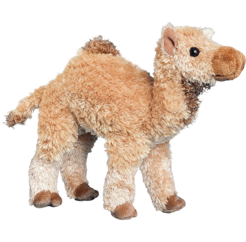 Lawrence Camel
