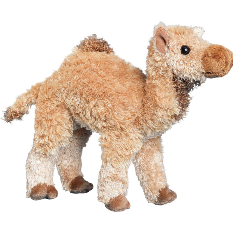 Lawrence Camel