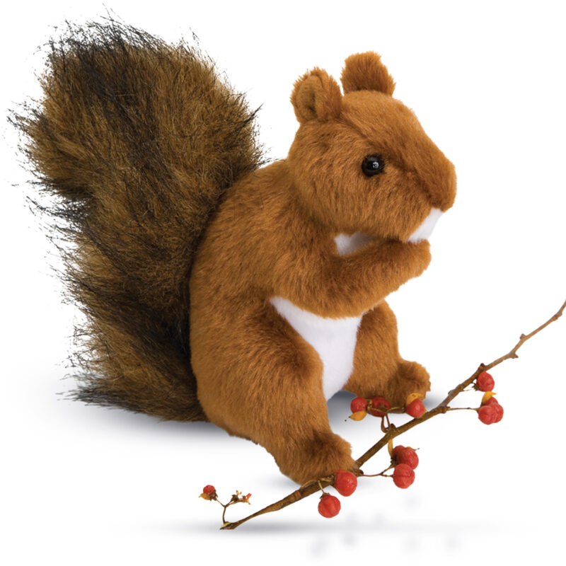 Roadie Red Squirrel