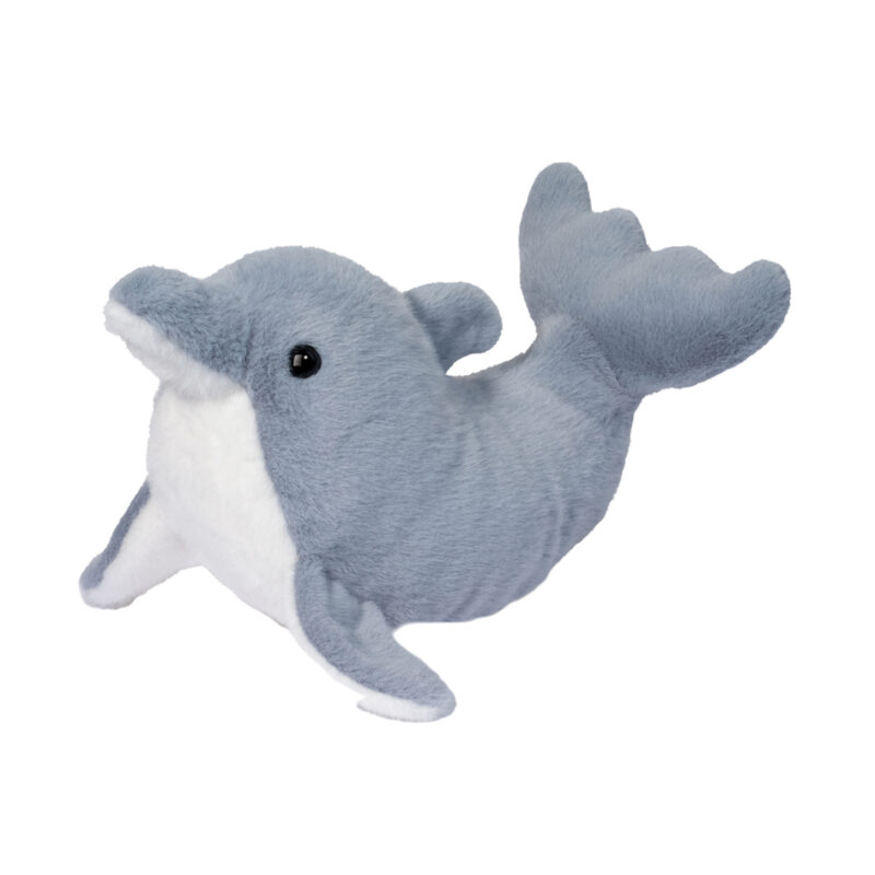 Dinghy Dolphin
