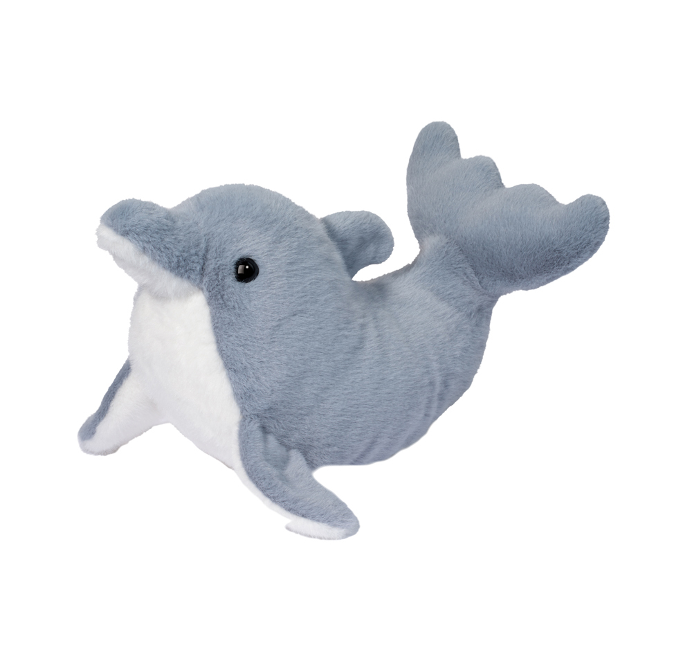 Dinghy Dolphin