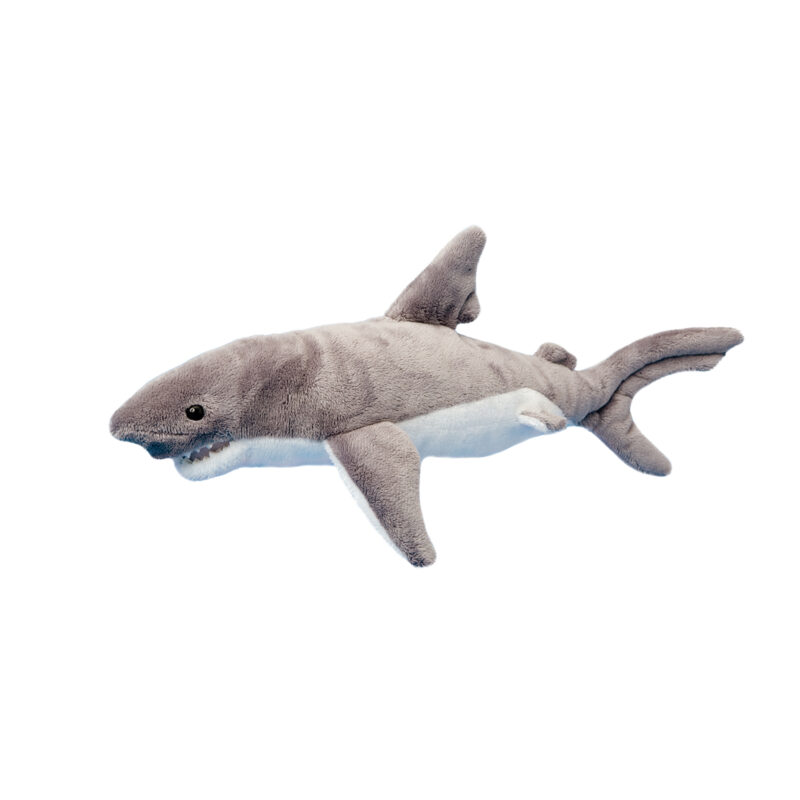 Smiley Shark