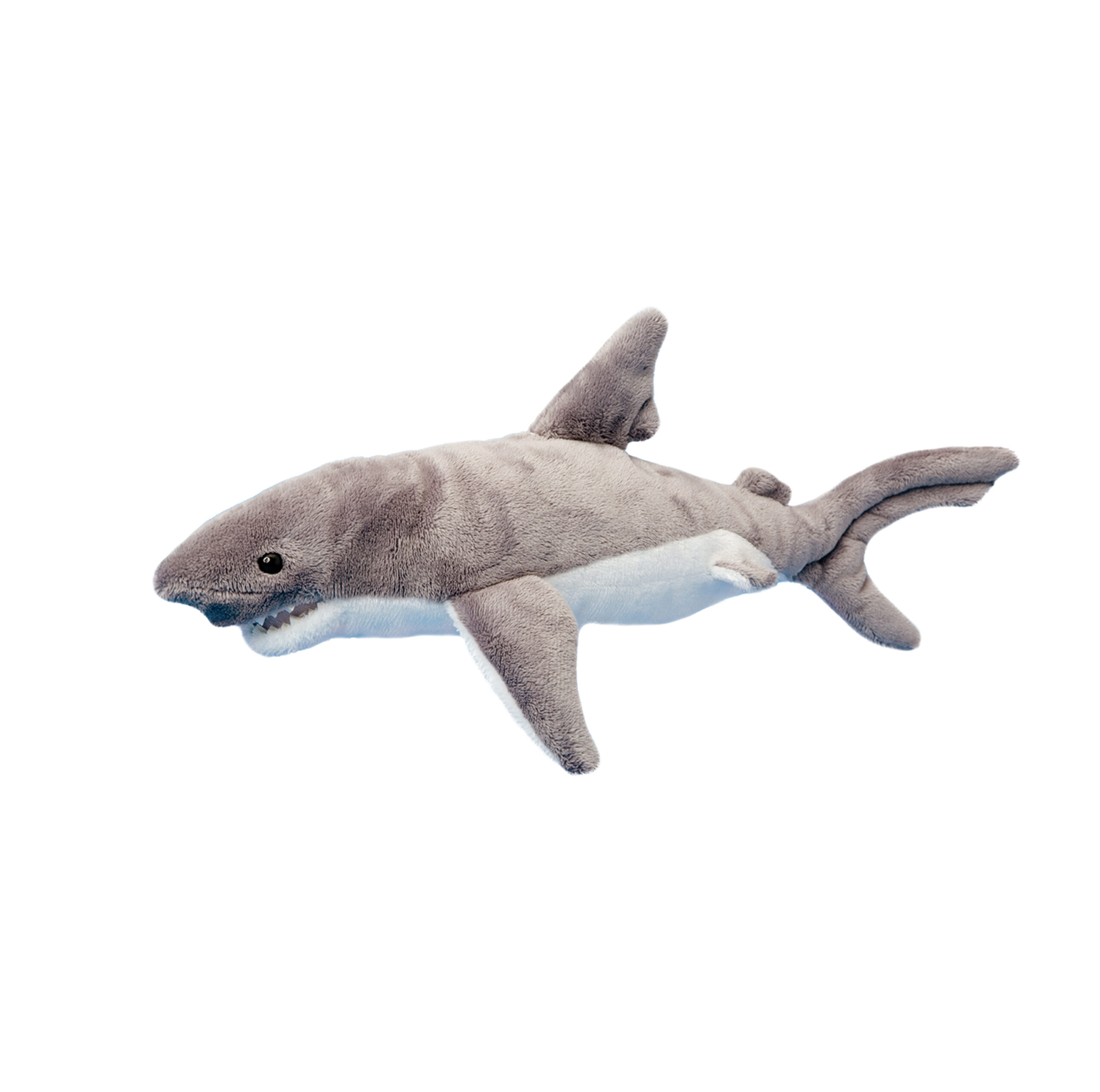 Smiley Shark