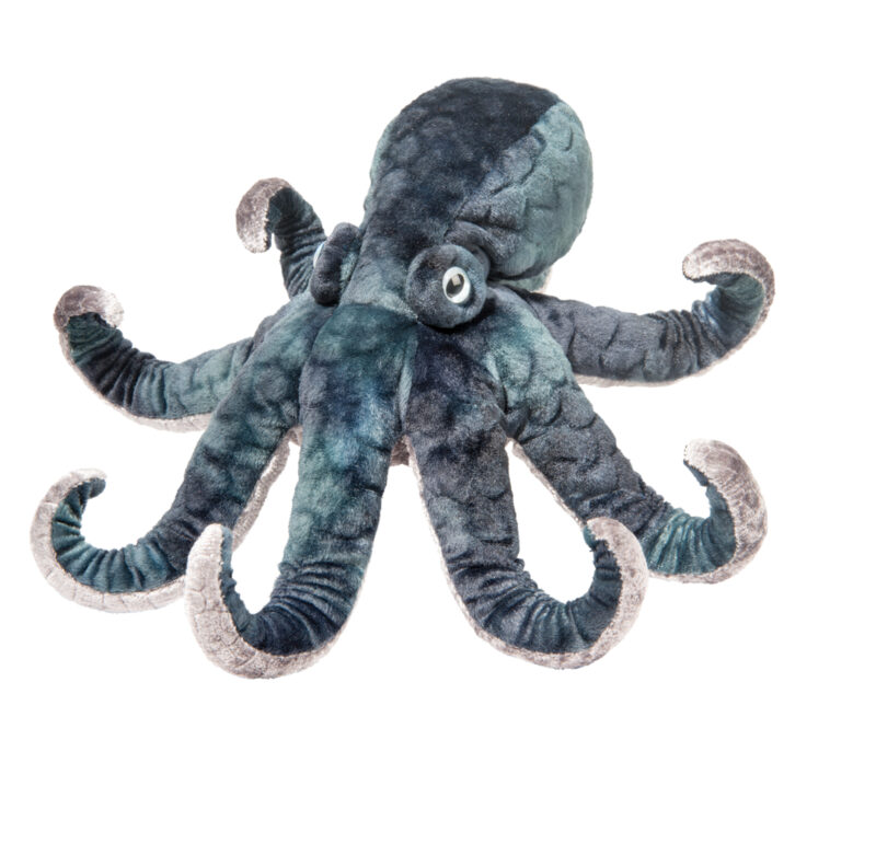 Winky Octopus