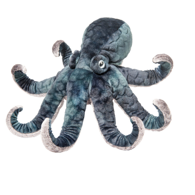 Winky Octopus