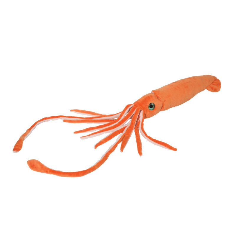 Stretch Squid