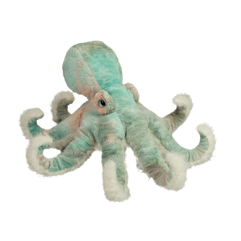 Winona Octopus