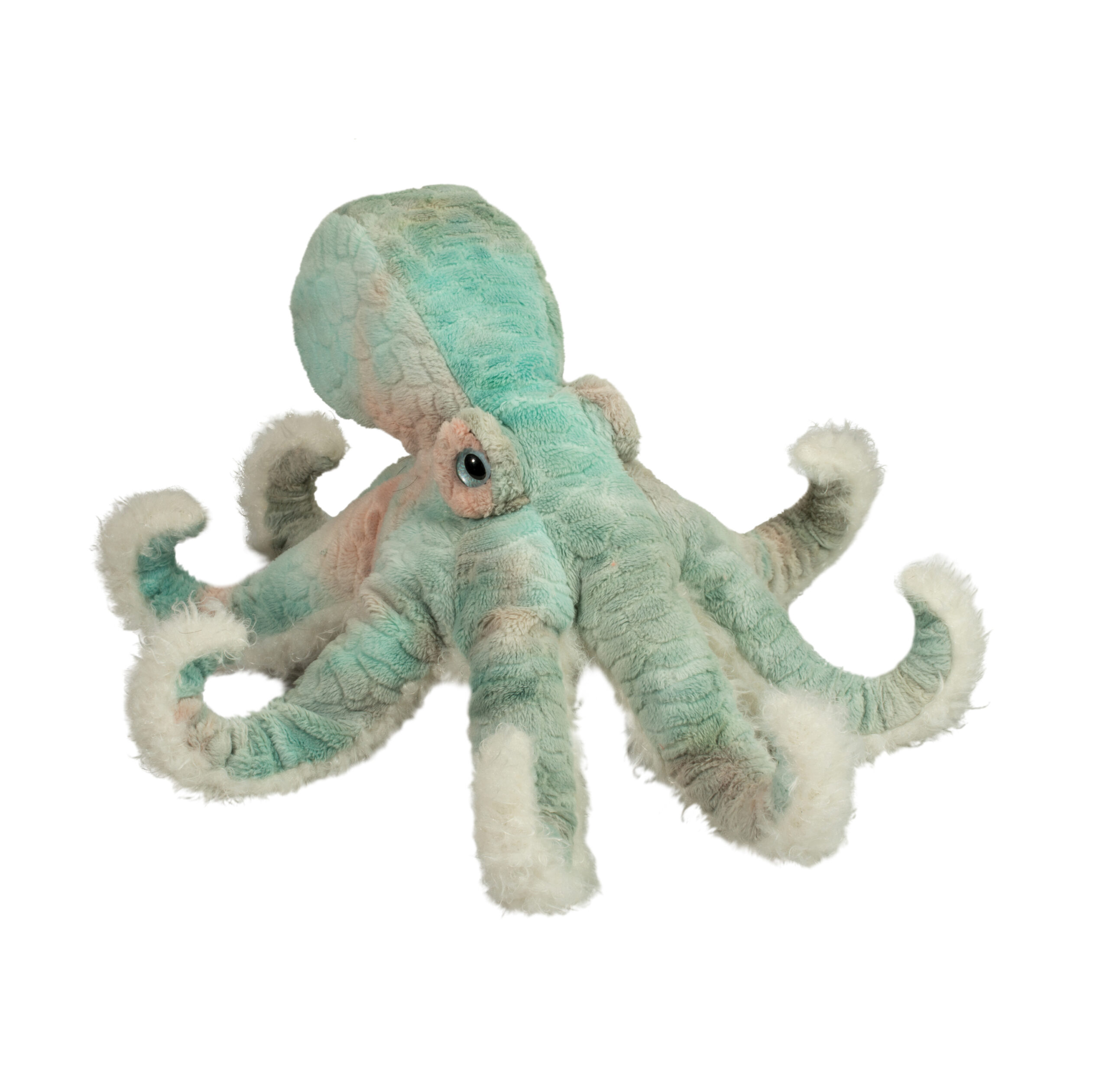 Winona Octopus
