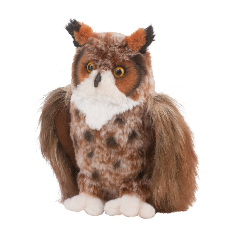 Einstein Great Horned Owl