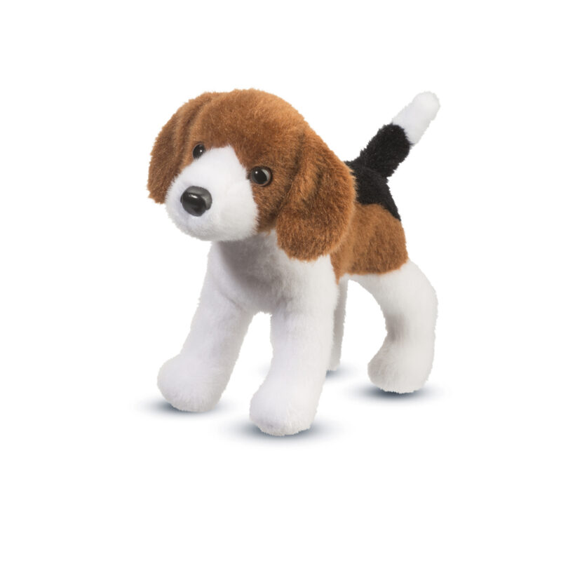 Bob Beagle