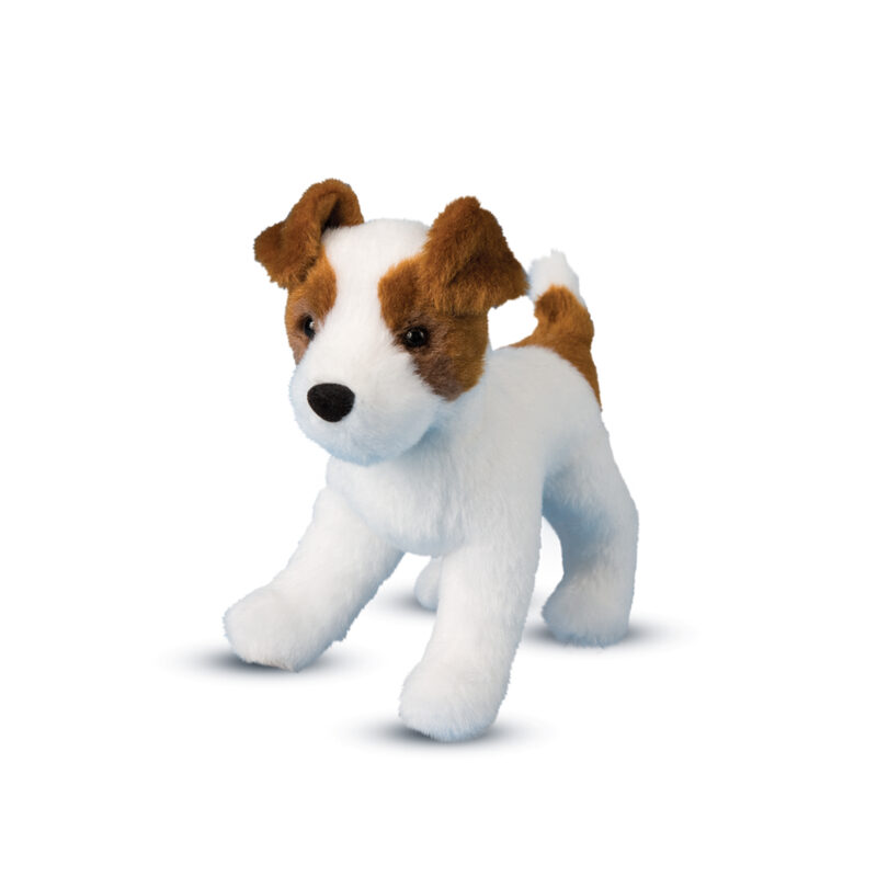 Feisty Jack Russell