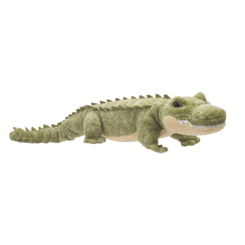 Stream Line Alligator