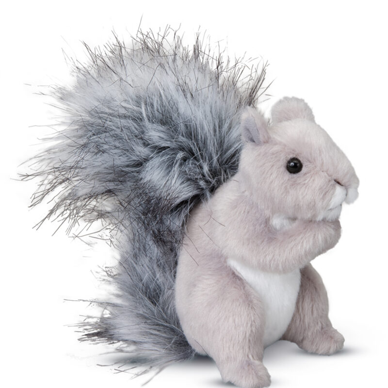 Shasta Gray Squirrel