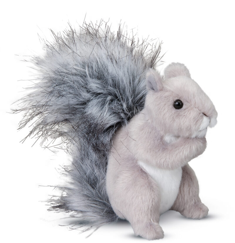 Shasta Gray Squirrel
