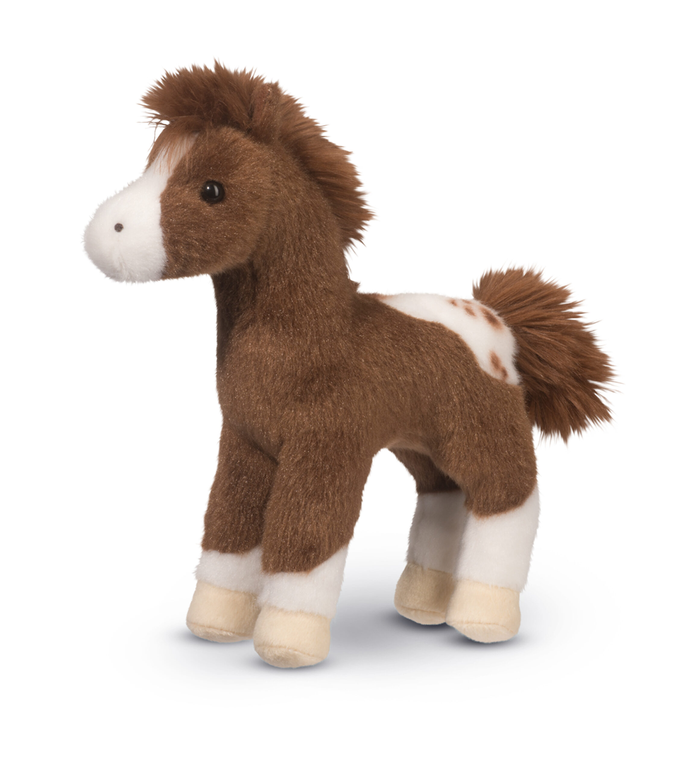 Warrior Blanket Appaloosa Horse