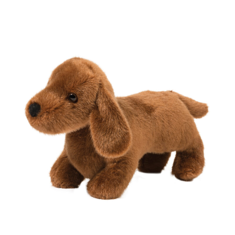 Dilly Dachshund
