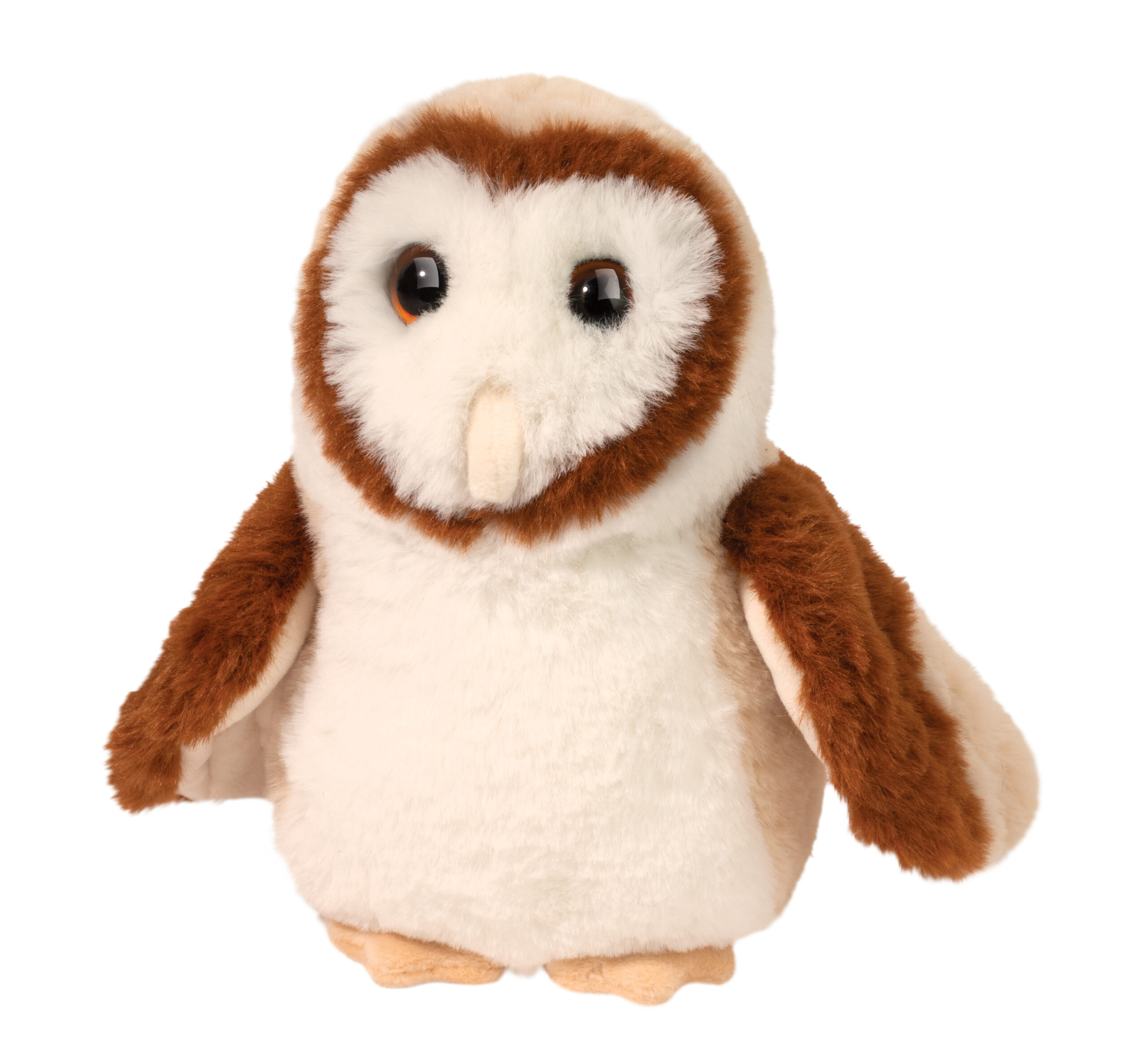 Rafter Barn Owl