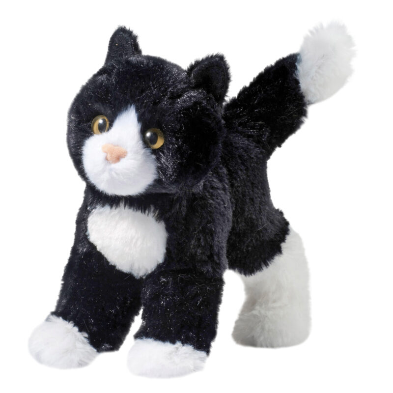 Snippy Black & White Cat
