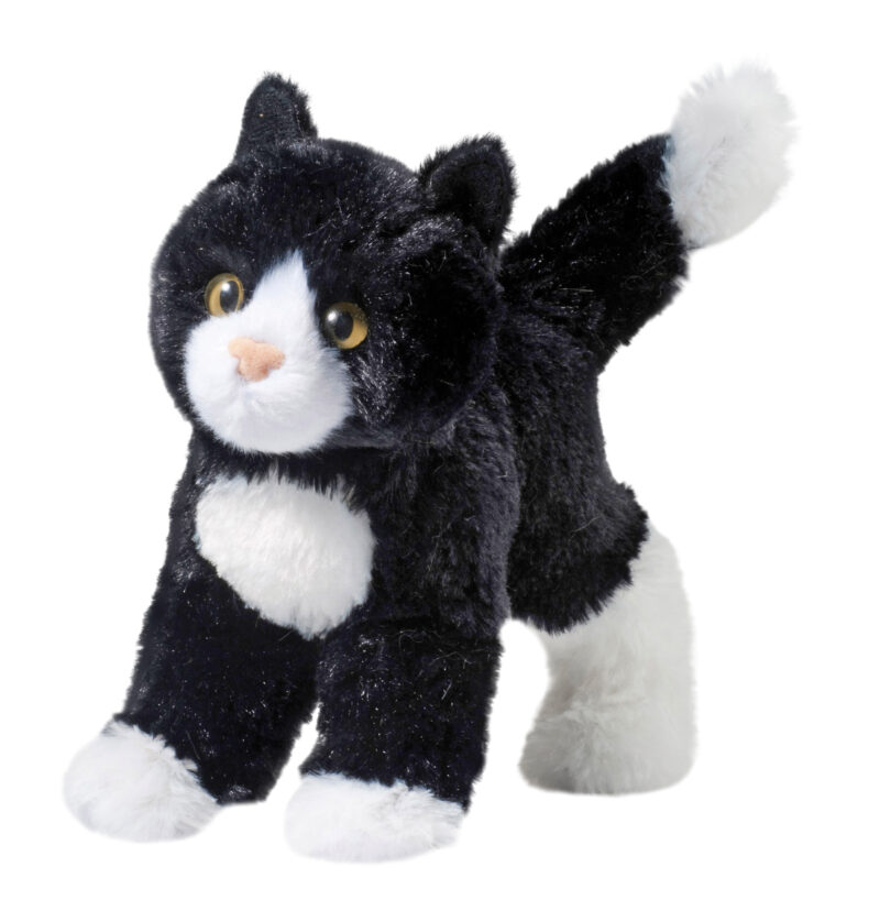 Snippy Black & White Cat