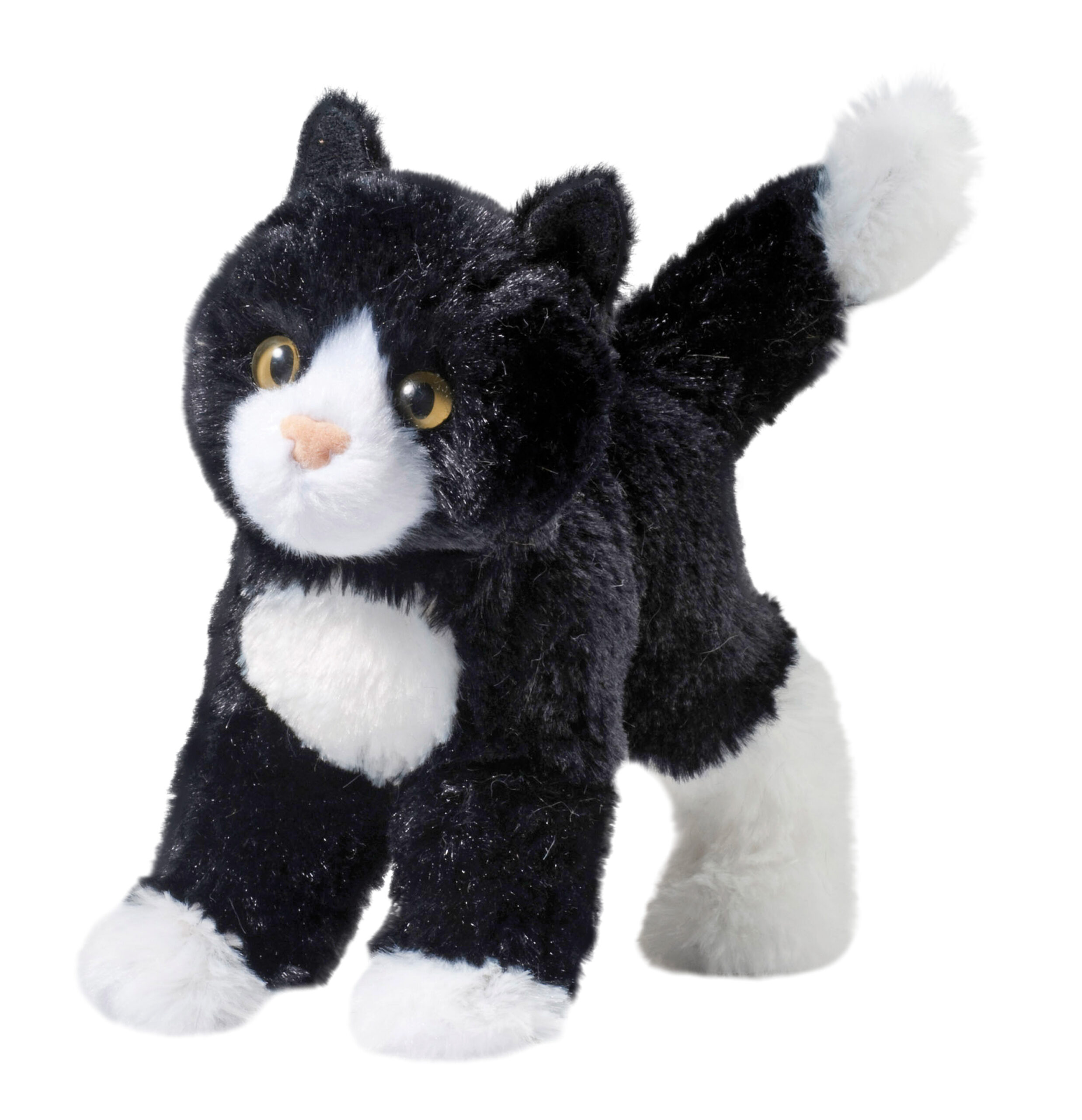 Snippy Black & White Cat
