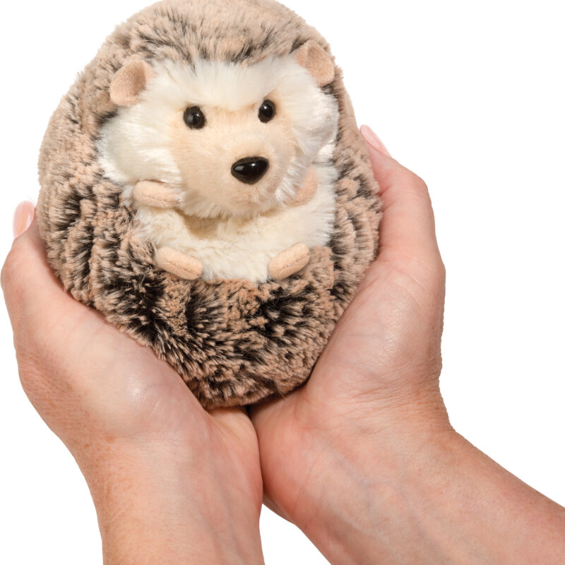 Spunky Hedgehog