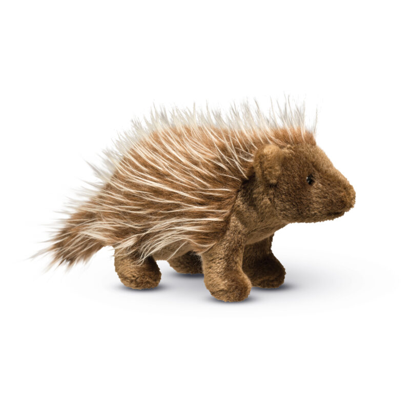 Percy Porcupine
