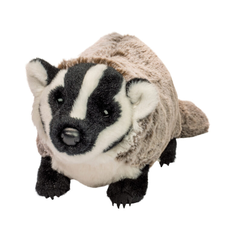 Barry Badger
