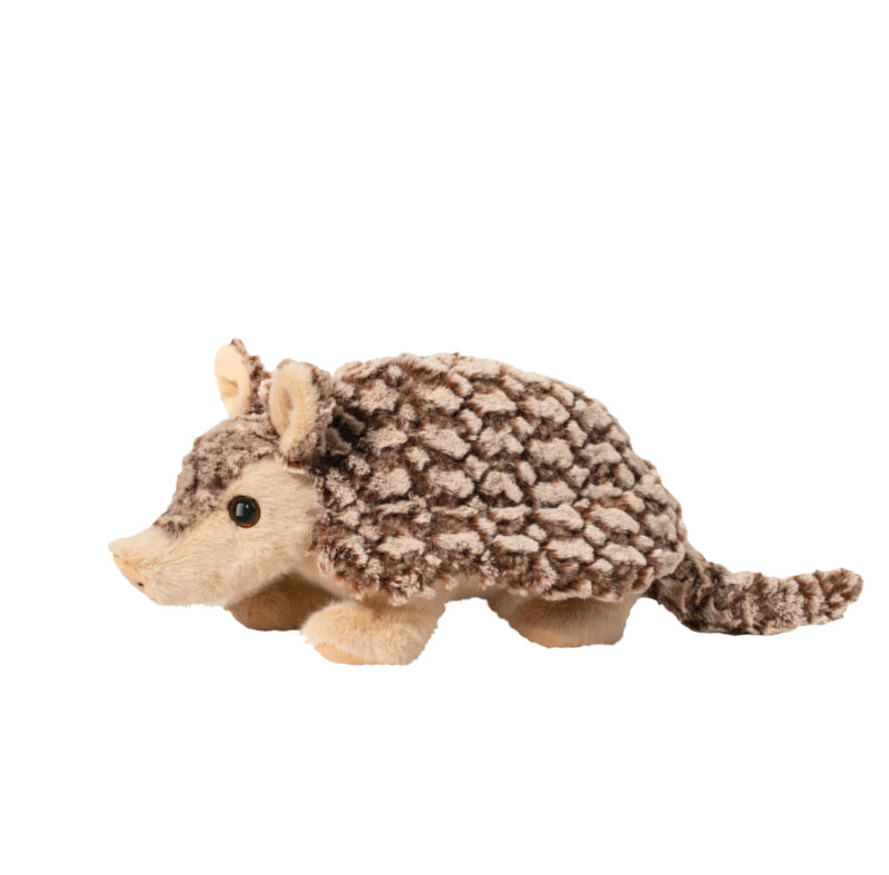 Austin Armadillo