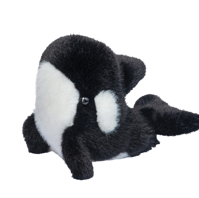 Lil' Baby Orca Whale