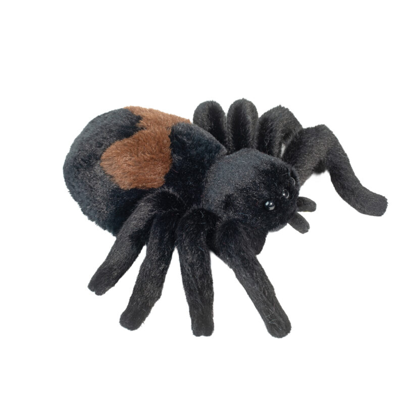 Sneakie Spider