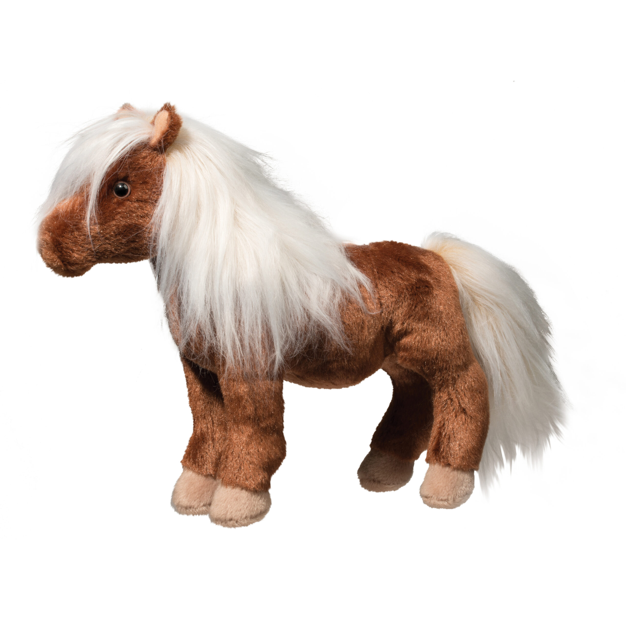 Tiny Shetland Pony
