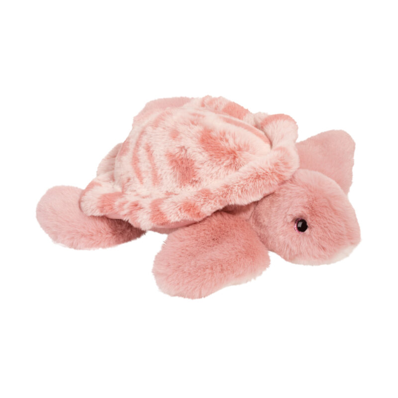 Cordelia Turtle
