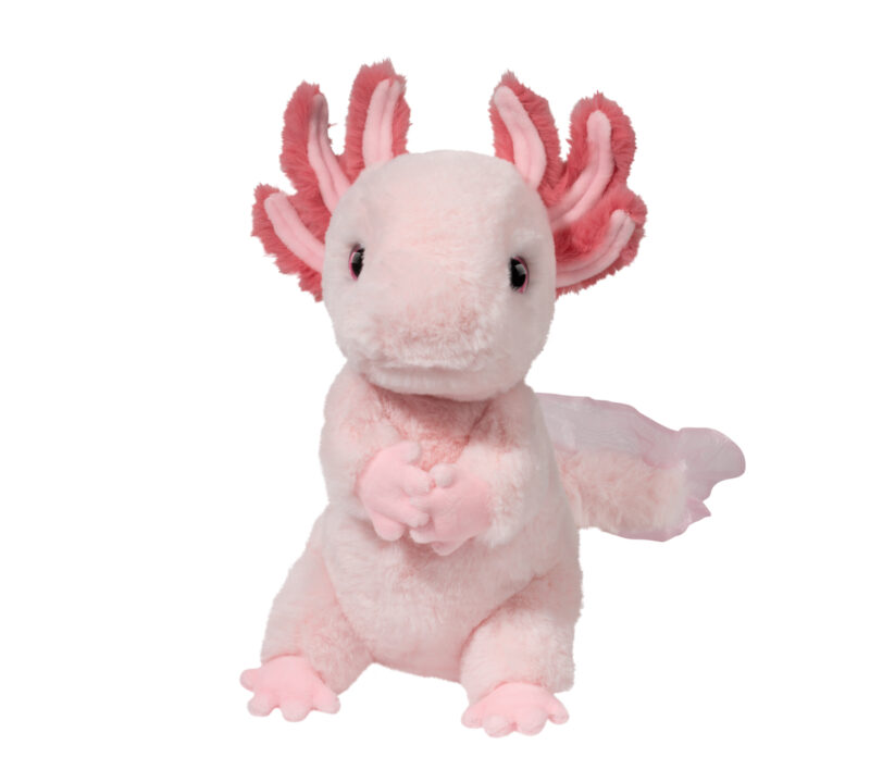 Luisa Axolotl