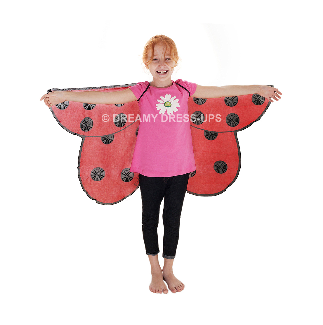 Mask & Wing Ladybird - Image 3