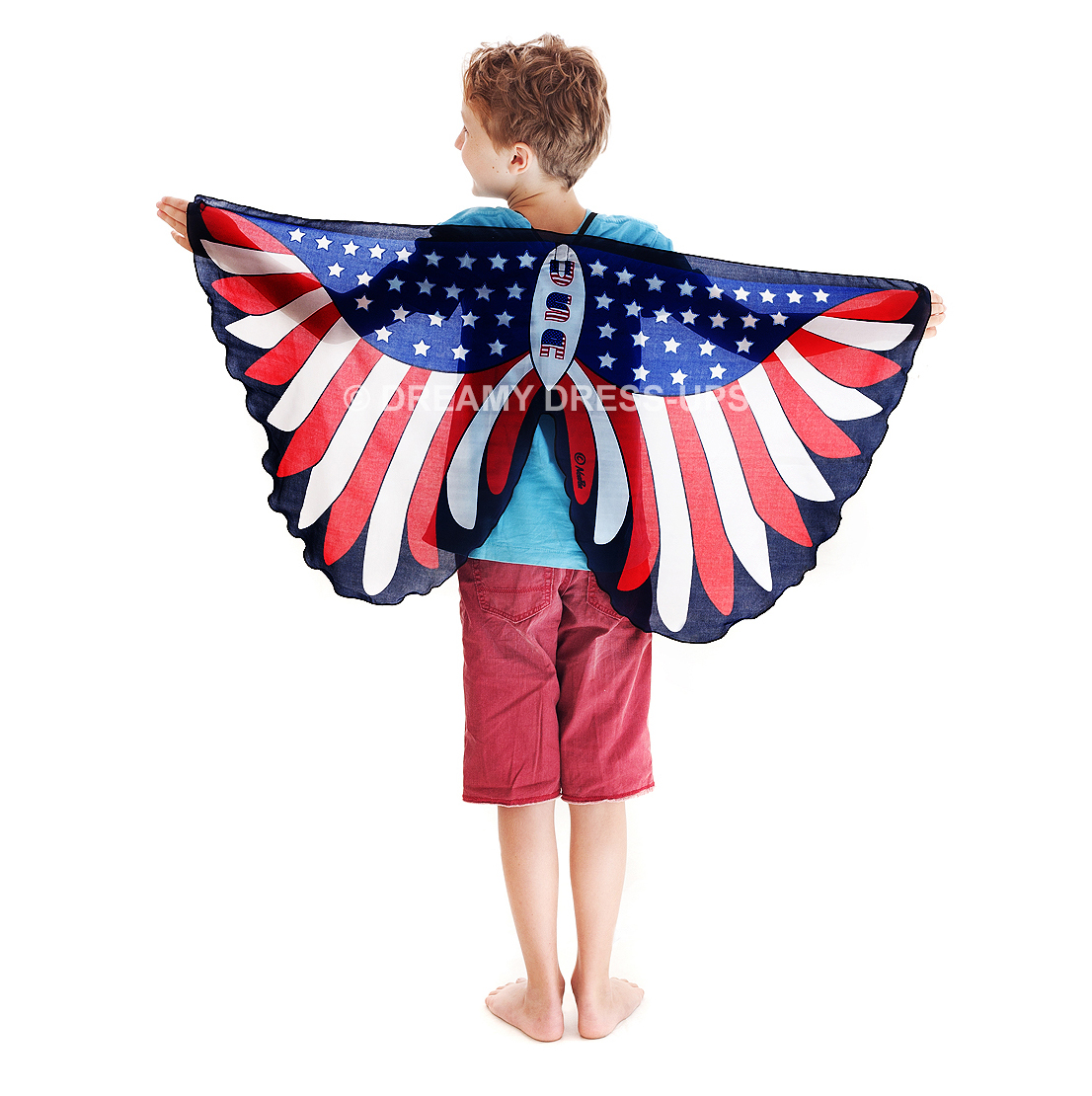 Wings , Bald Eagle Usa - Image 2