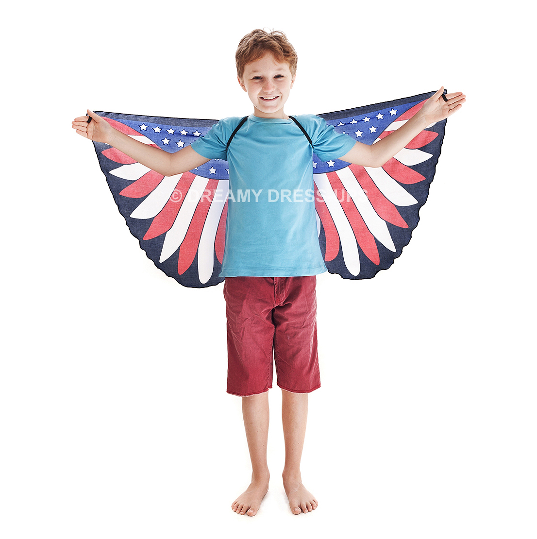Wings , Bald Eagle Usa - Image 3