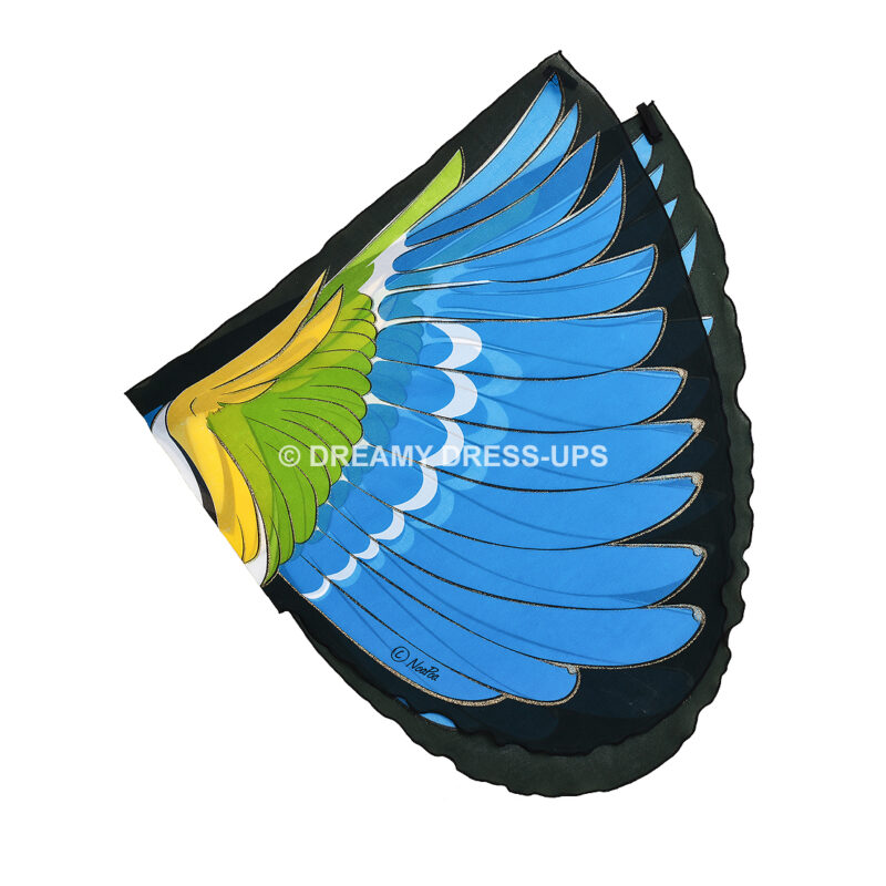 Wings, Bird, Blue-Winged Warbler