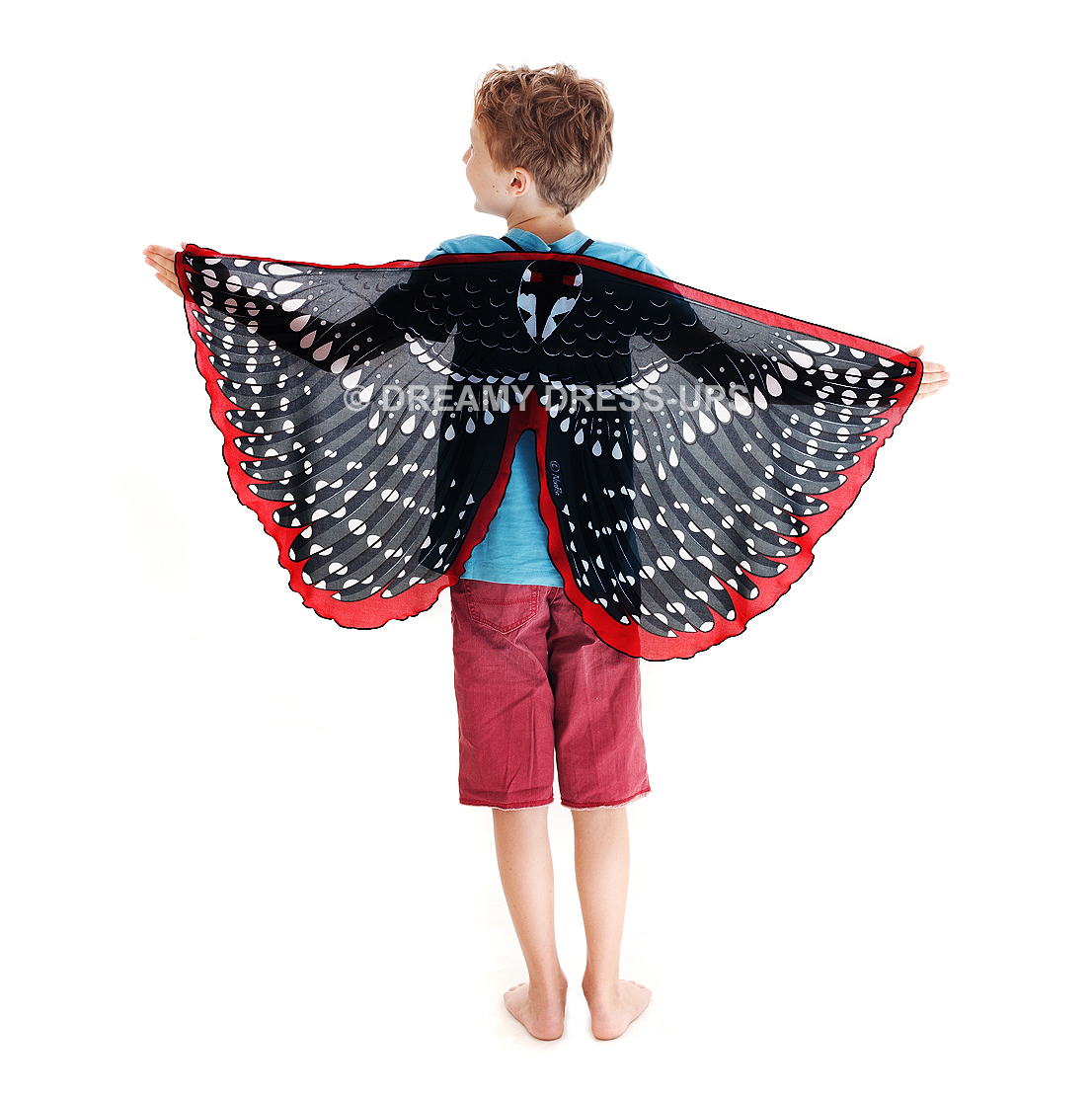 Wings, Bird, Woodpecker - Image 2