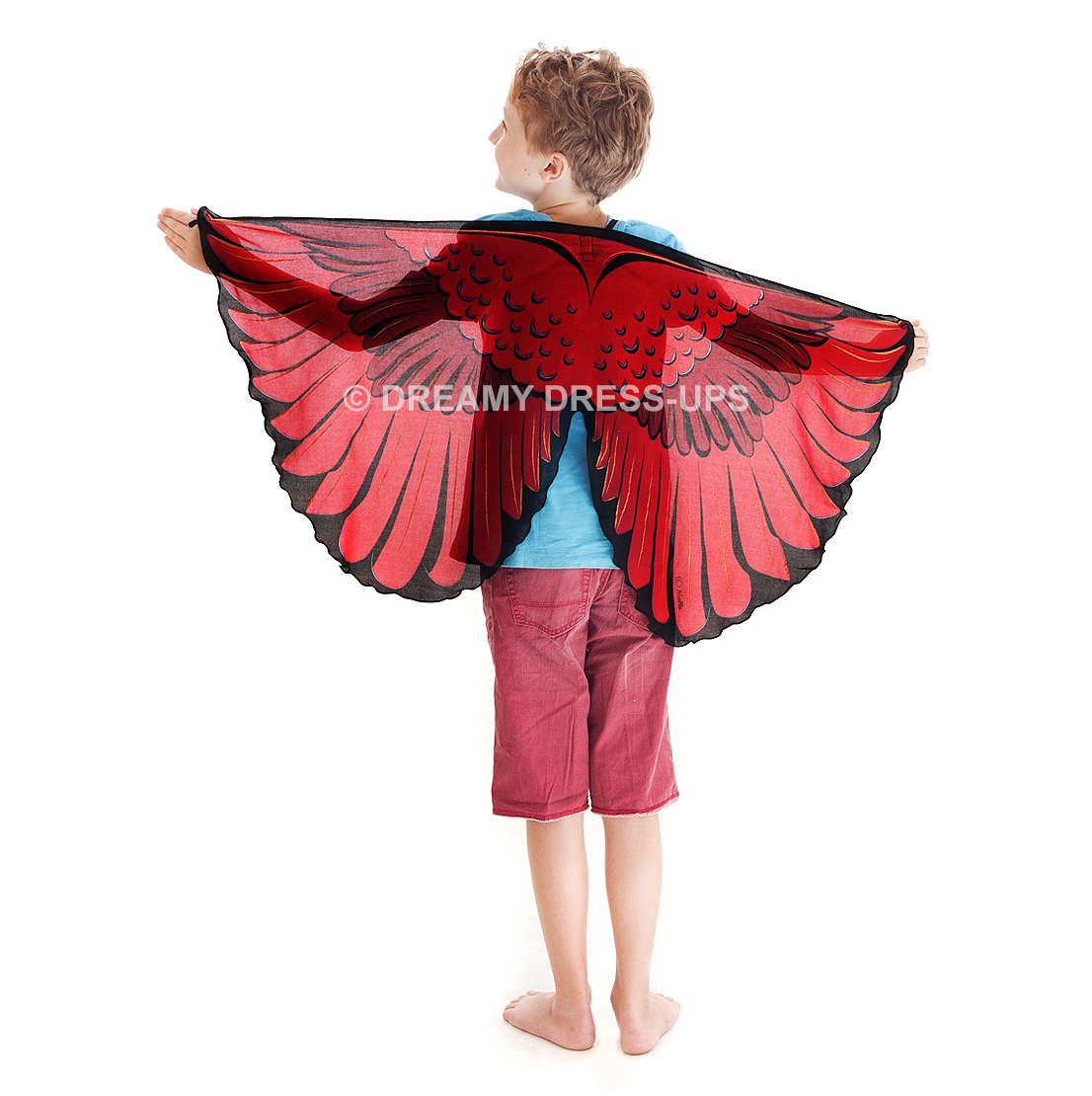 Wings, Bird, Cardinal Bird - Image 2