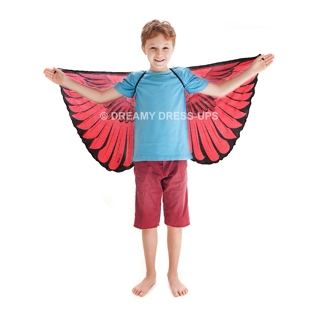 Wings, Bird, Cardinal Bird - Image 3