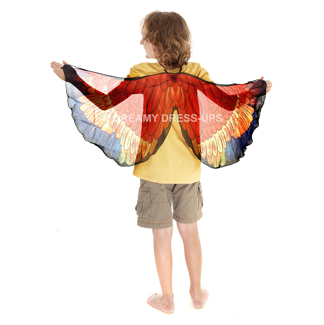Wings, Bird, Red Parrot - Image 3