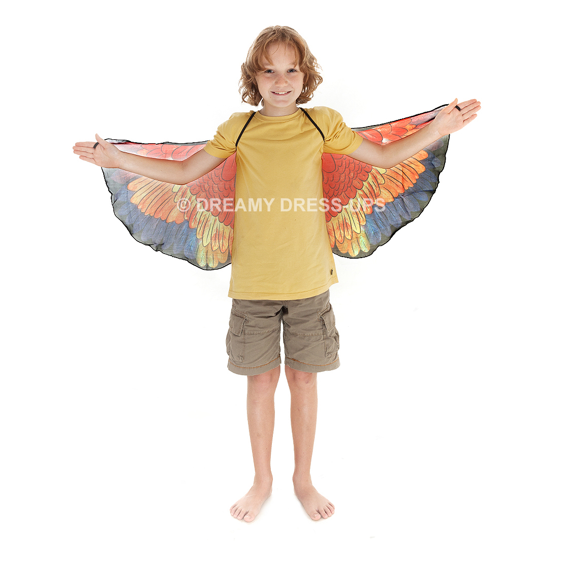 Wings, Bird, Red Parrot - Image 4