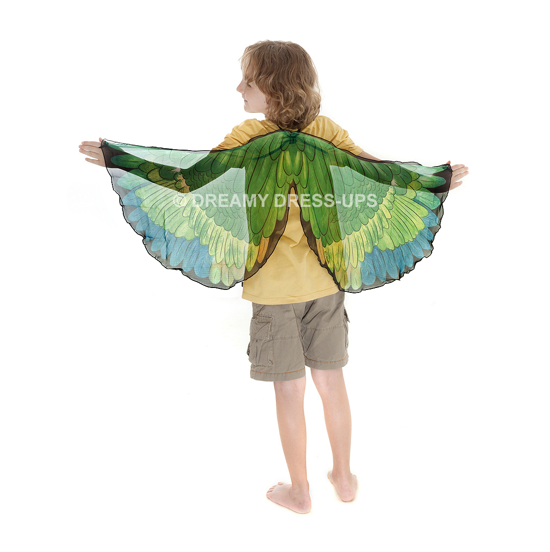 Wings , Green Parrot - Image 3
