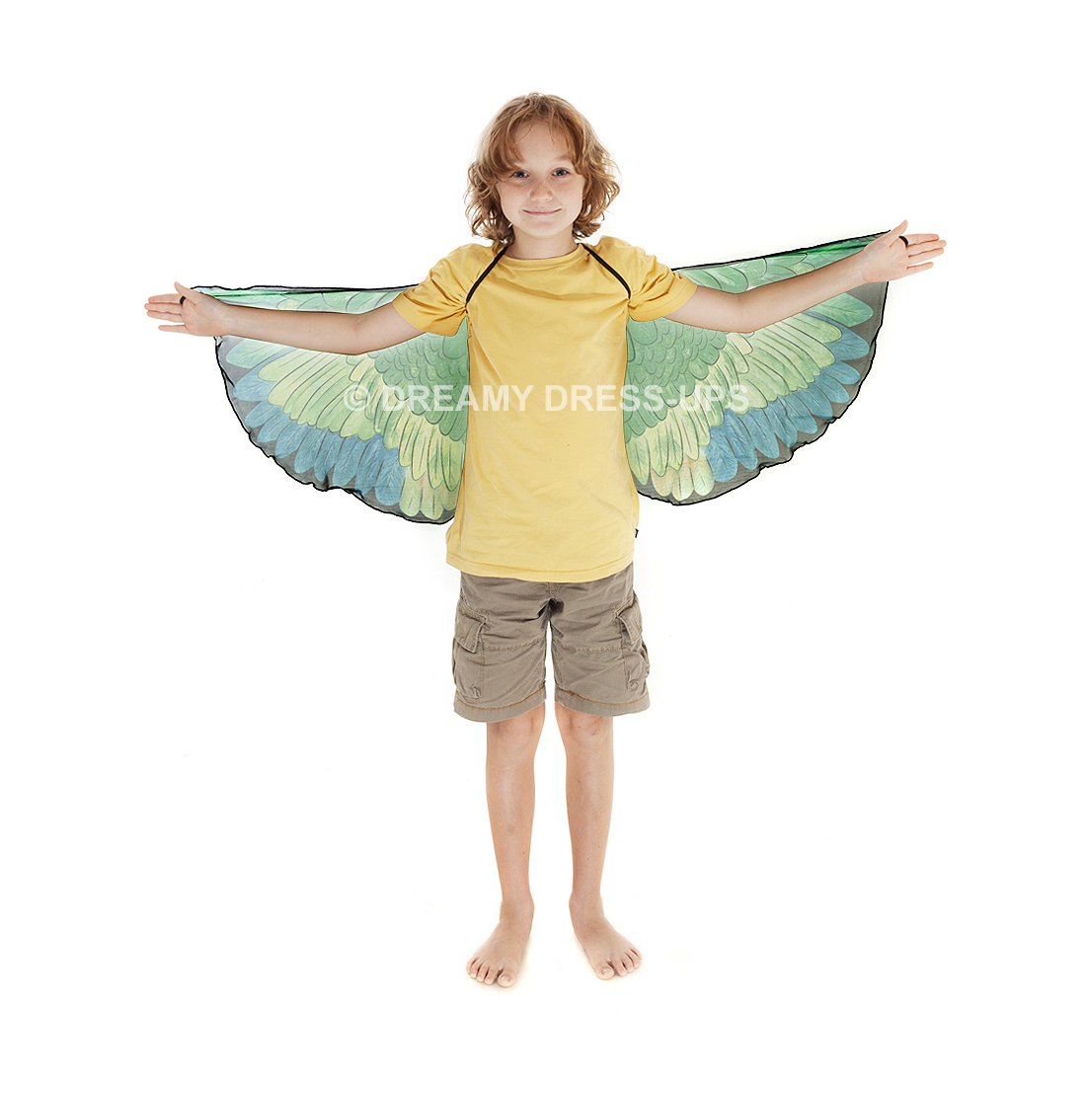 Wings , Green Parrot - Image 4