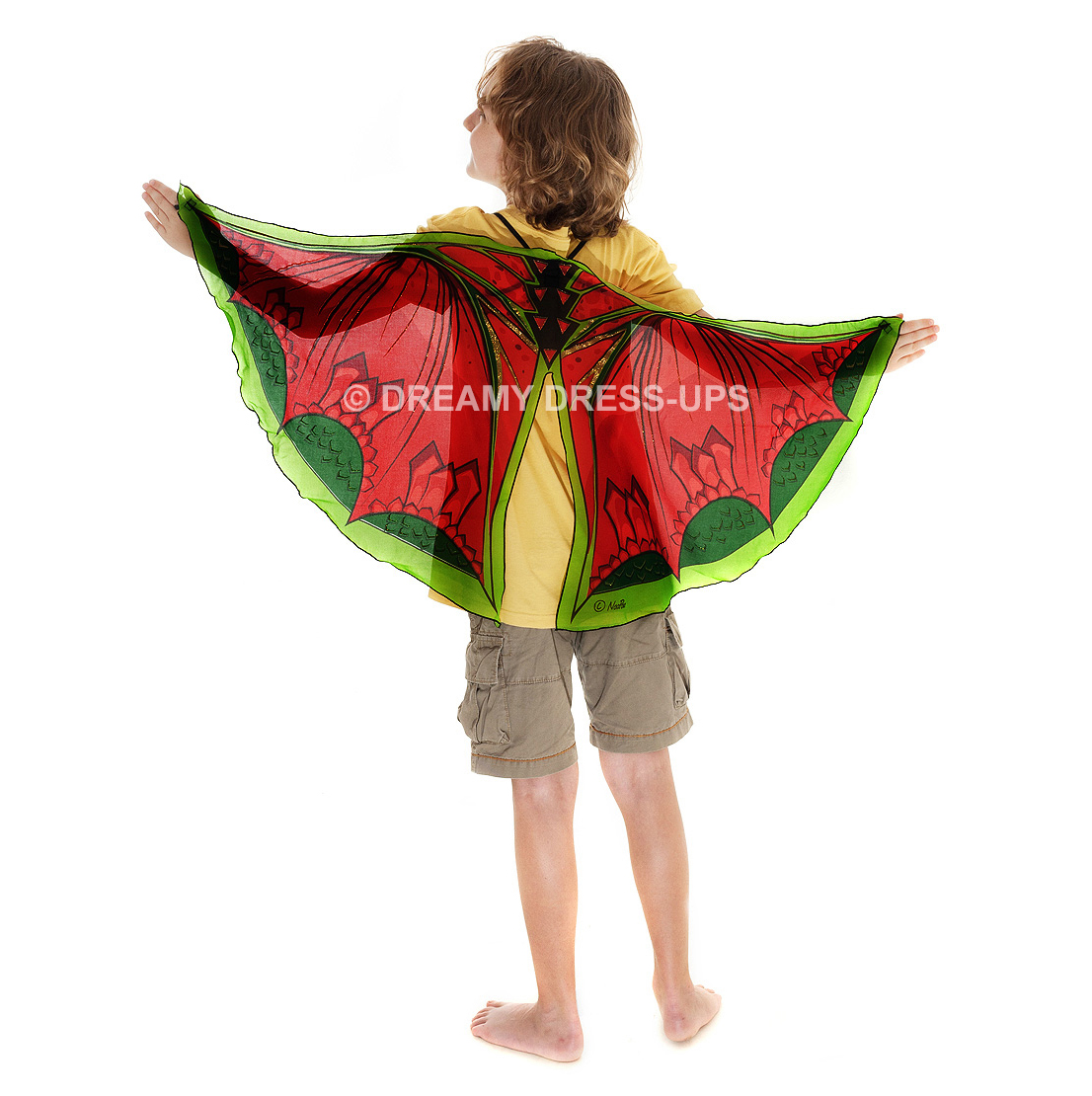 Xl Wings , Dragon - Image 3