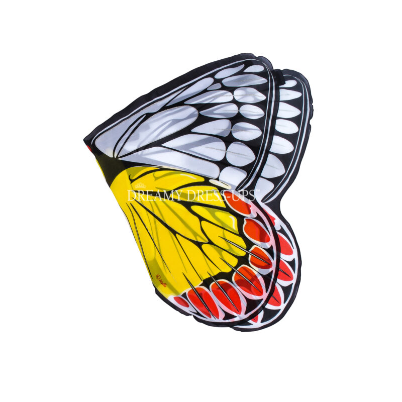 Common Jezebel Wings