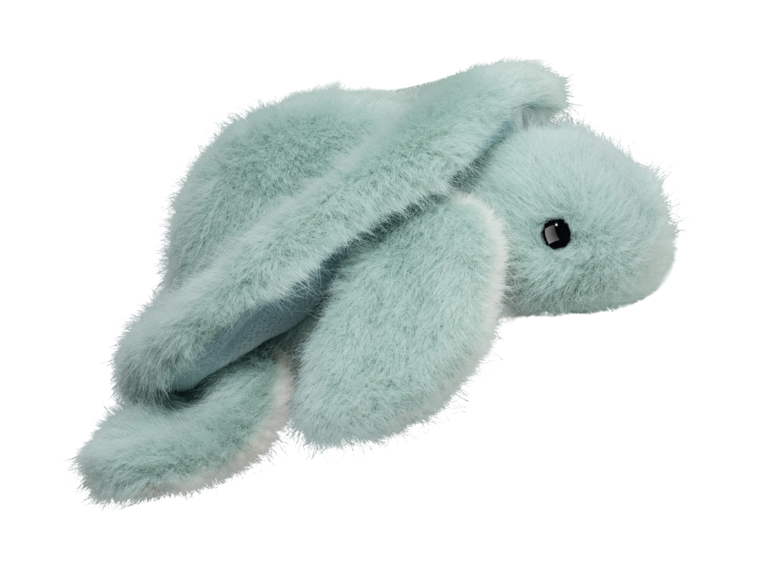 Lil' Baby AQUA TURTLE (24cm long) - Image 3