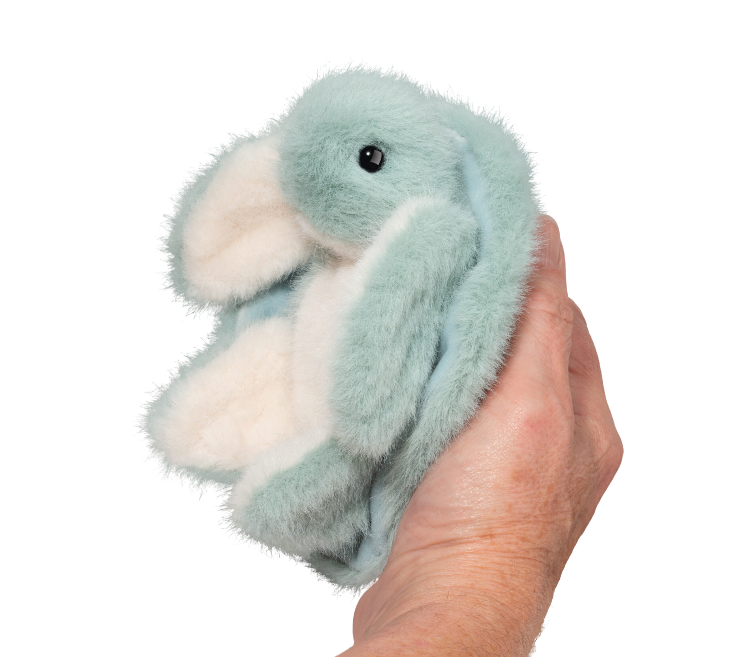 Lil' Baby AQUA TURTLE (24cm long) - Image 2